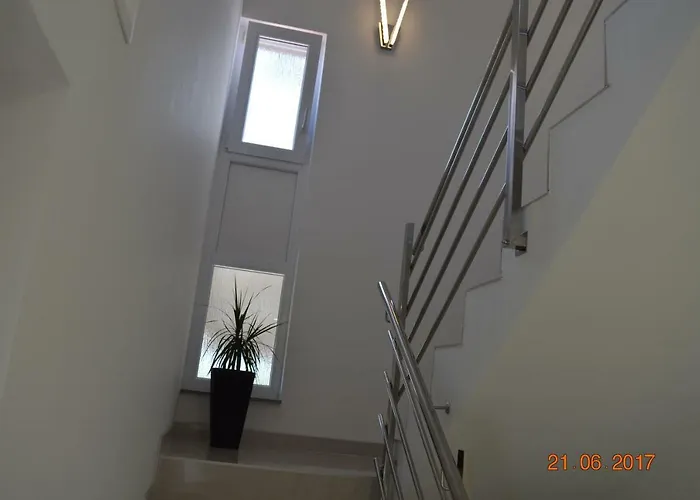 Armando * زادار