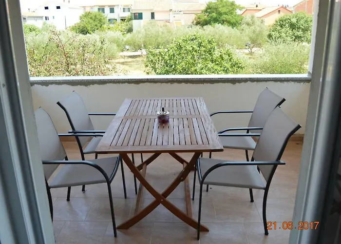 Armando * زادار