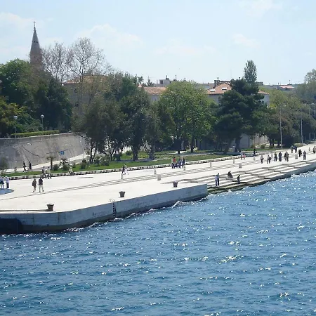 Armando * Zadar